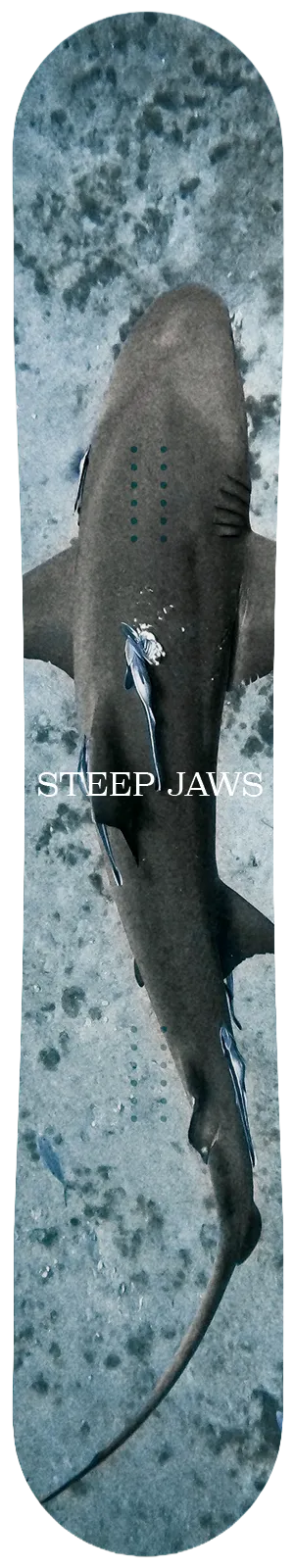 BREIENDスノーボードのSTEEP JAWSのトップシートの写真