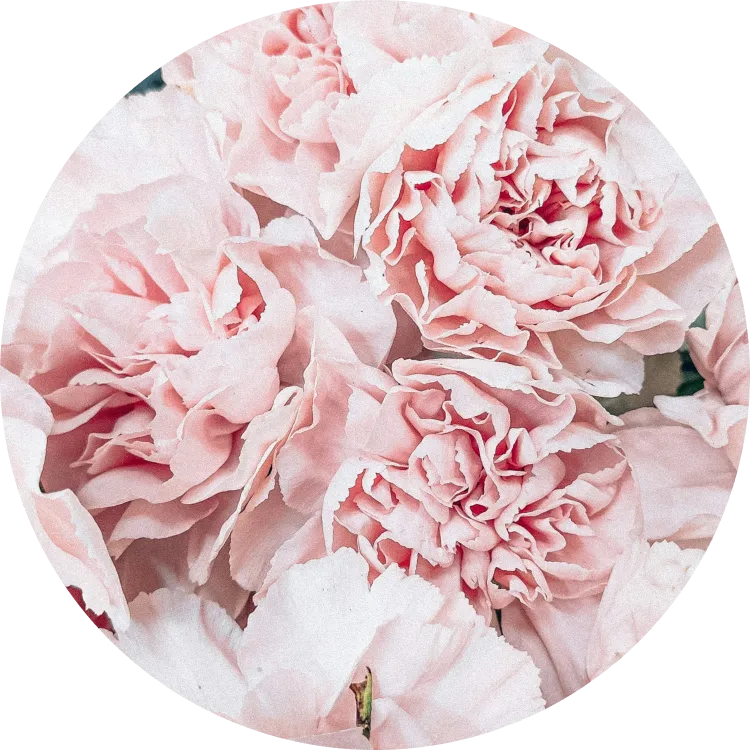 わかりやすいように仮で入れた。消してください