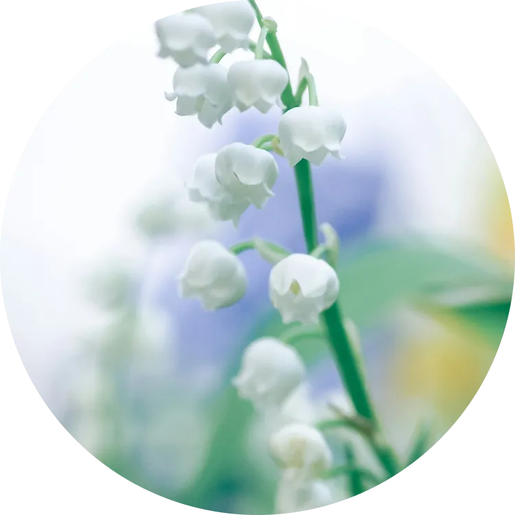 わかりやすいように仮で入れた。消してください